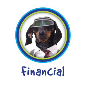 Financial-P